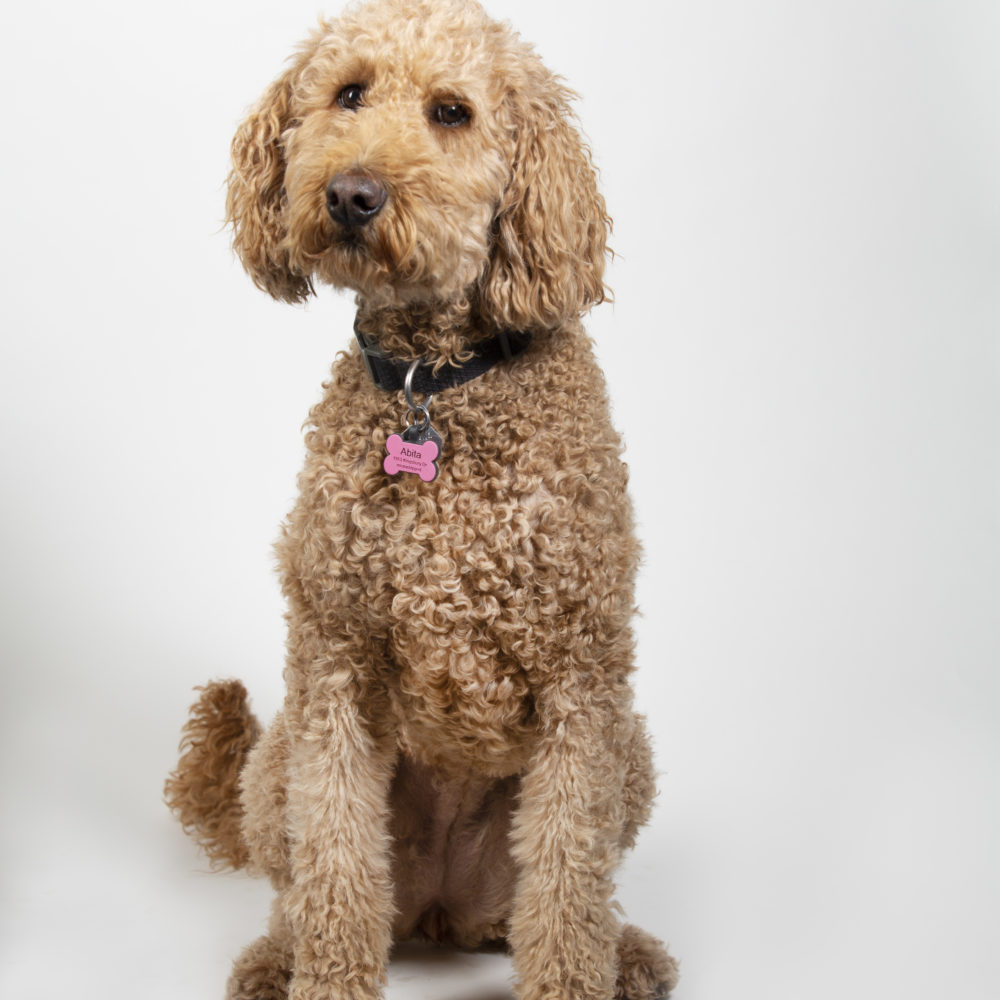PR Headshots for Fuoco